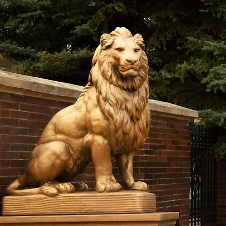 Guest house Goldenlion