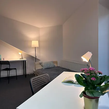 Goldenlion Guest house *